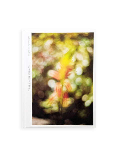 CLOUD PHYSICS / TERRI WEIFENBACH - 本 屋 青 旗 Ao-Hata Bookstore