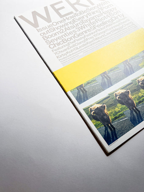 WERK No.1: How To Be Sexy Without Showing Everything (2000