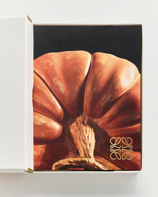 CRAFTED WORLD: JONATHAN ANDERSON'S LOEWE - 本 屋 青 旗 Ao-Hata