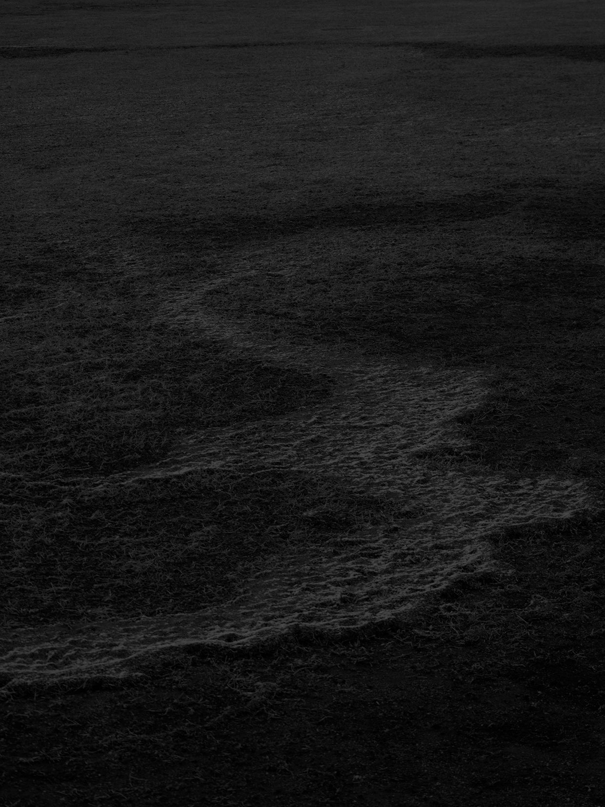 畑直幸写真展　STILLNESS