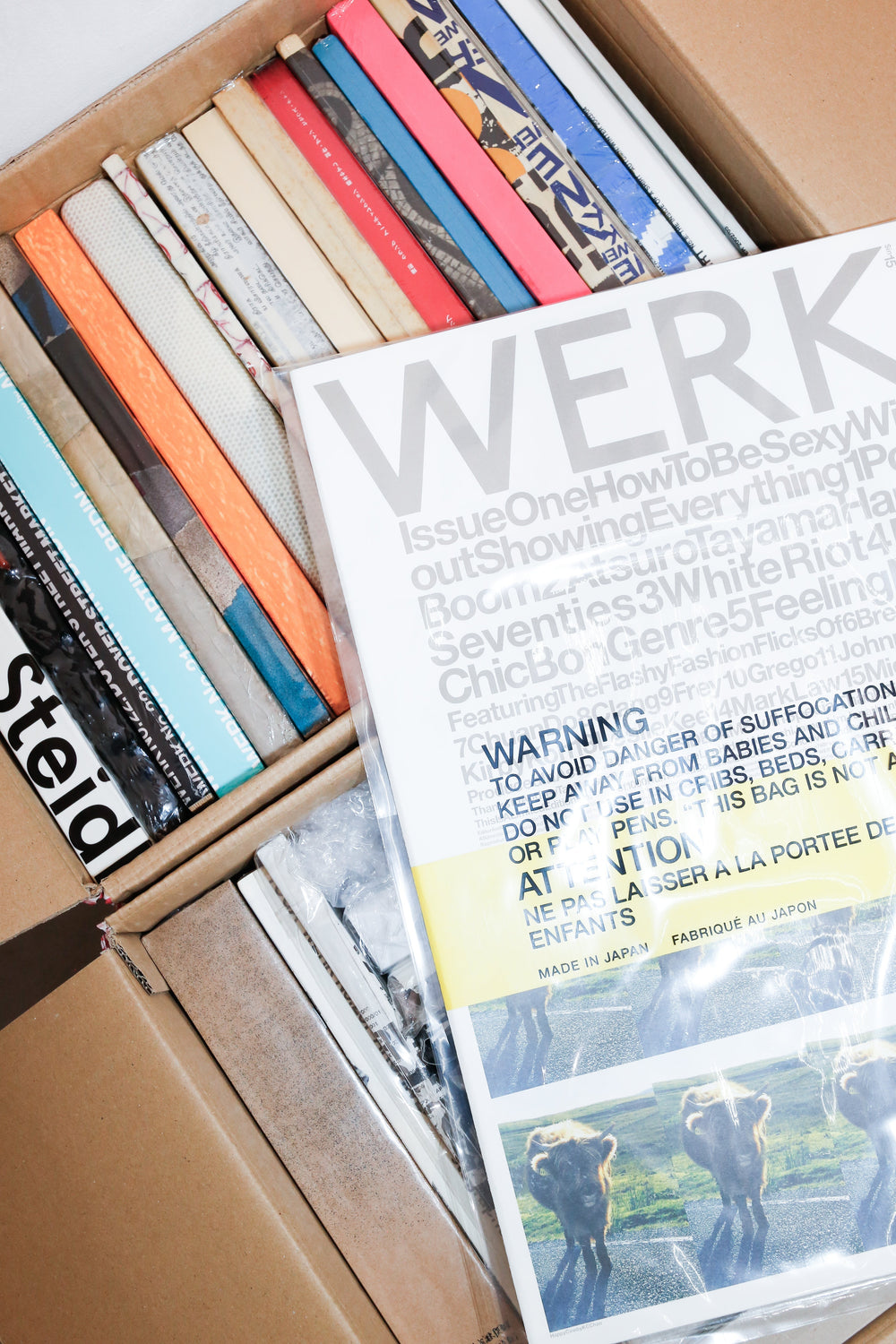 Theseus Chan TALK & BOOK SIGNING