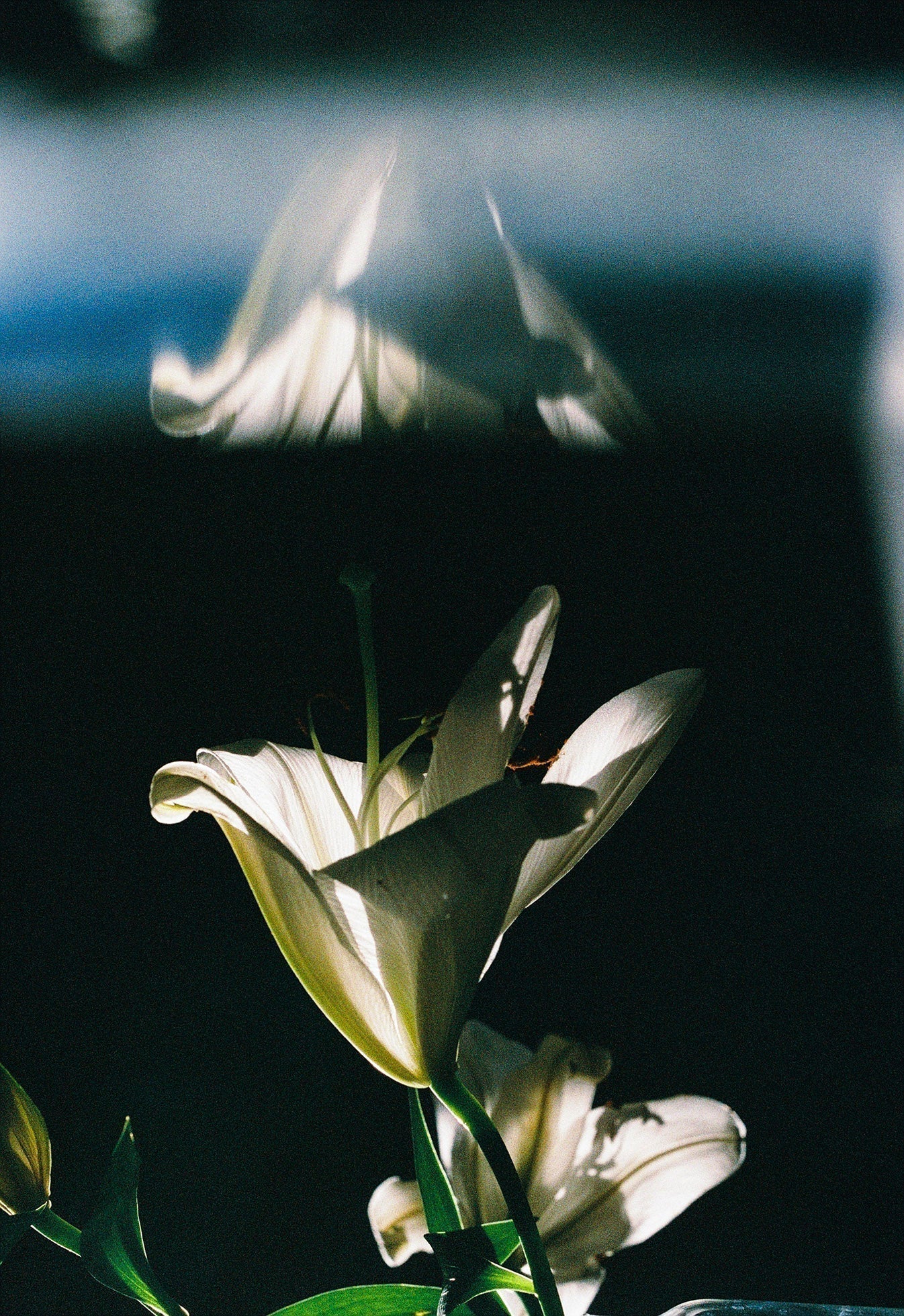 濵本奏 写真集『ー・・』刊行記念展示