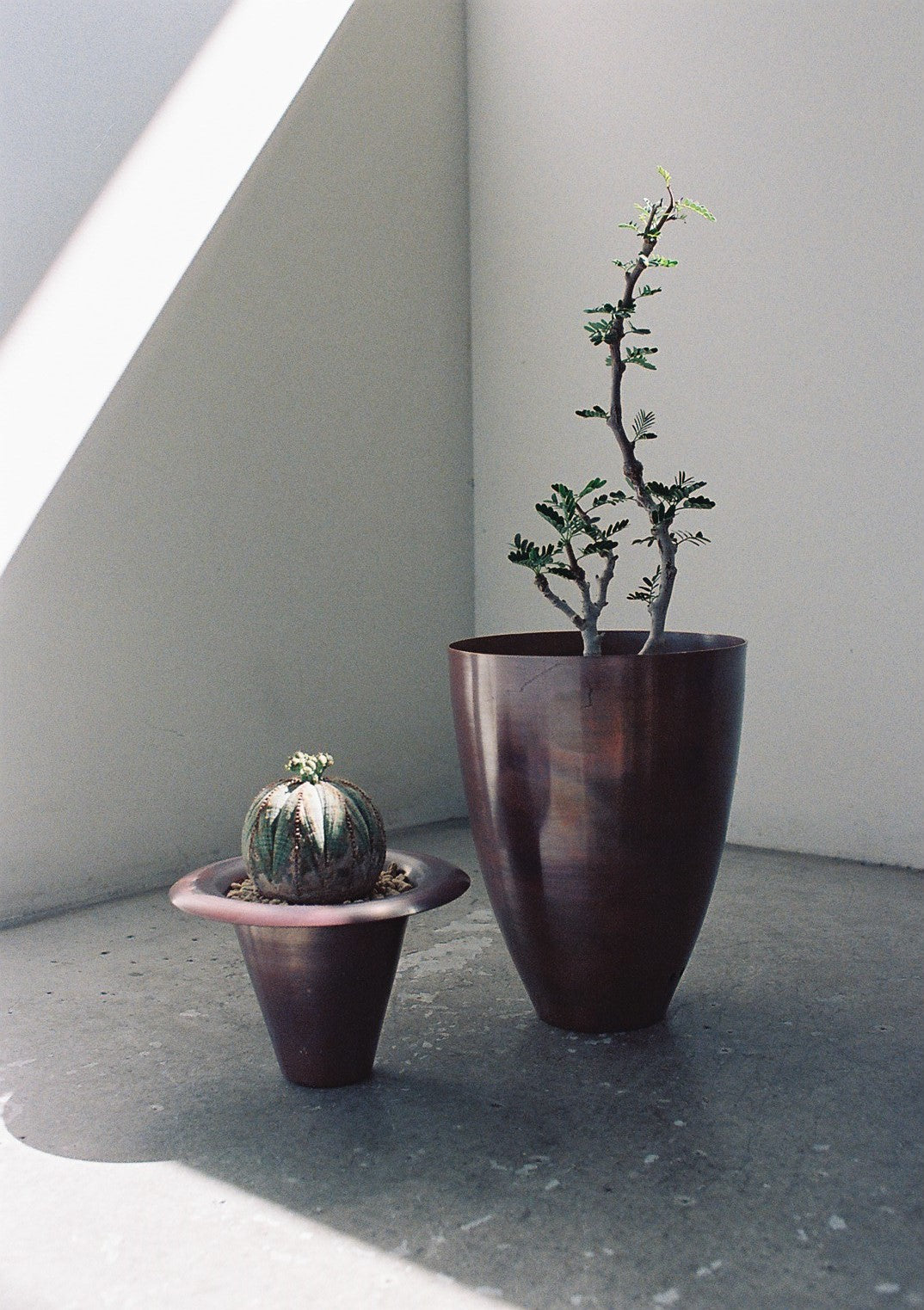 copper pot TYPE #6〈bordeaux〉 - 本屋青旗 Ao-Hata Bookstore