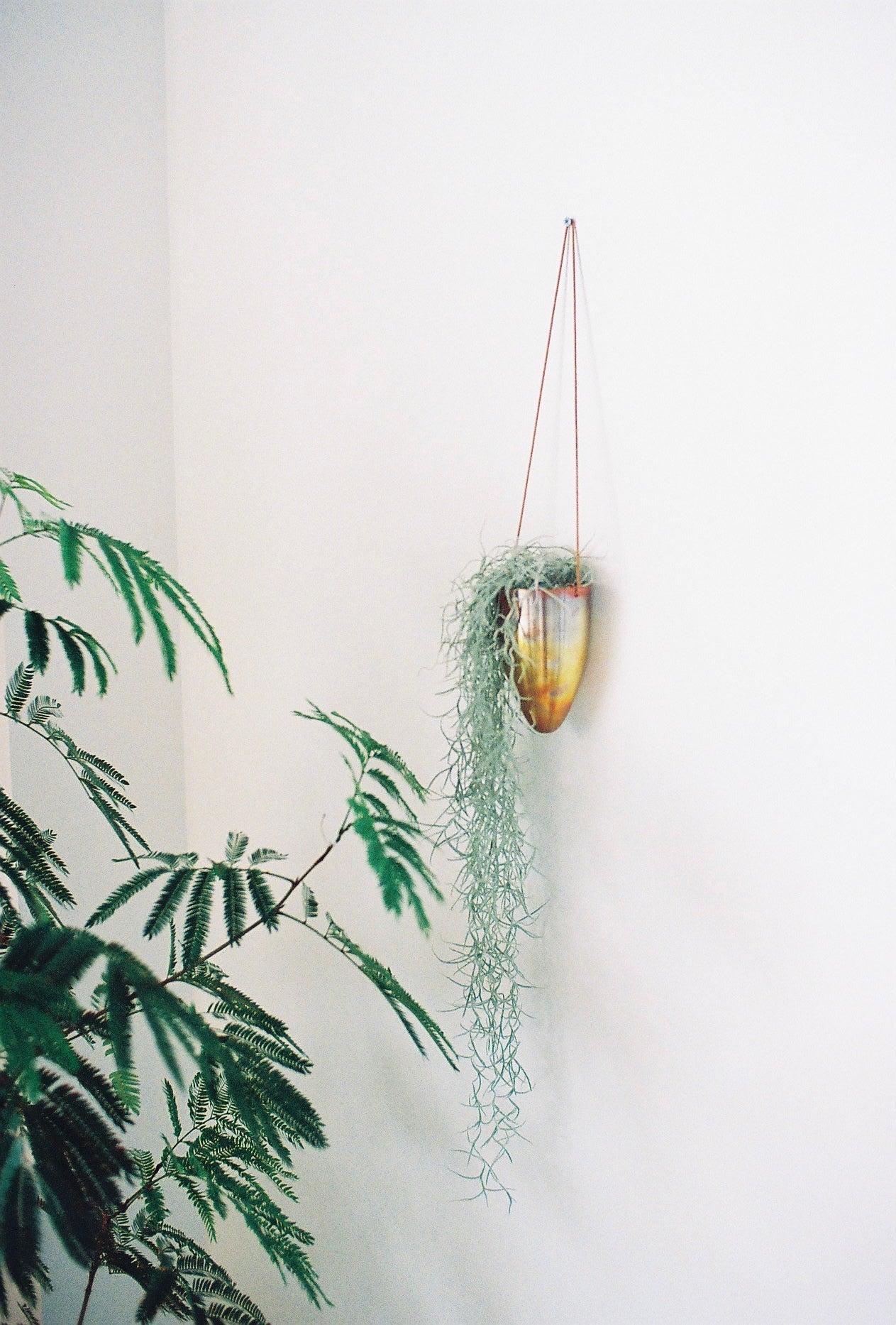 copper pot TYPE #2〈metalic〉 - 本屋青旗 Ao-Hata Bookstore