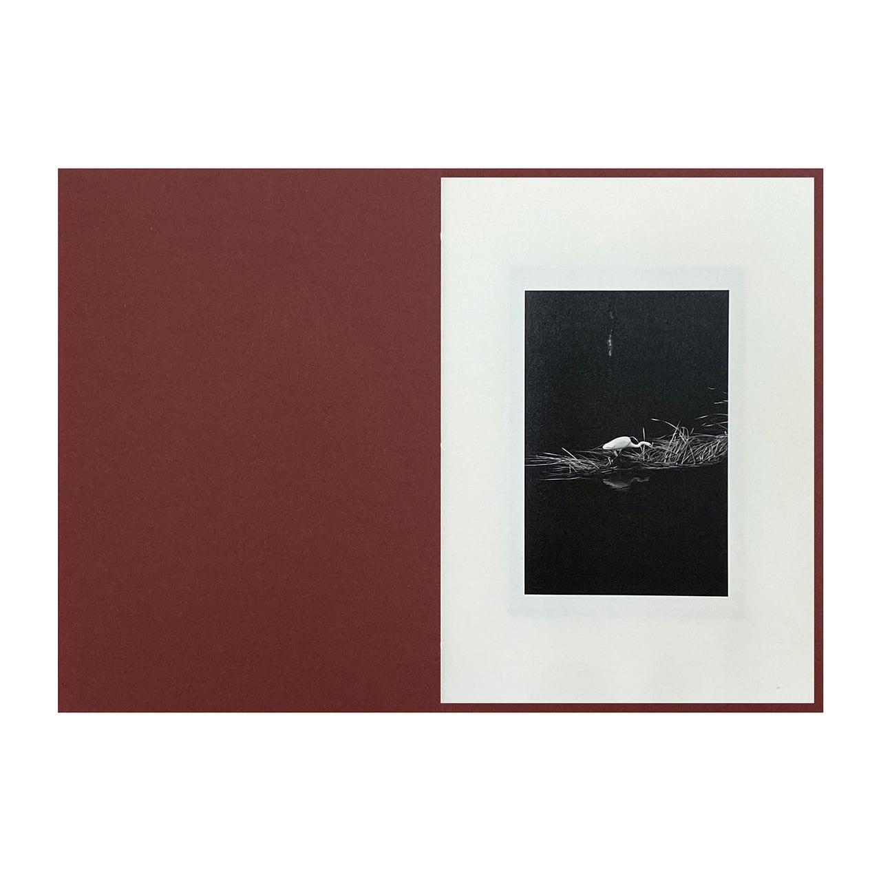 Epiphany / Shimpei Yamagami [SIGNED]