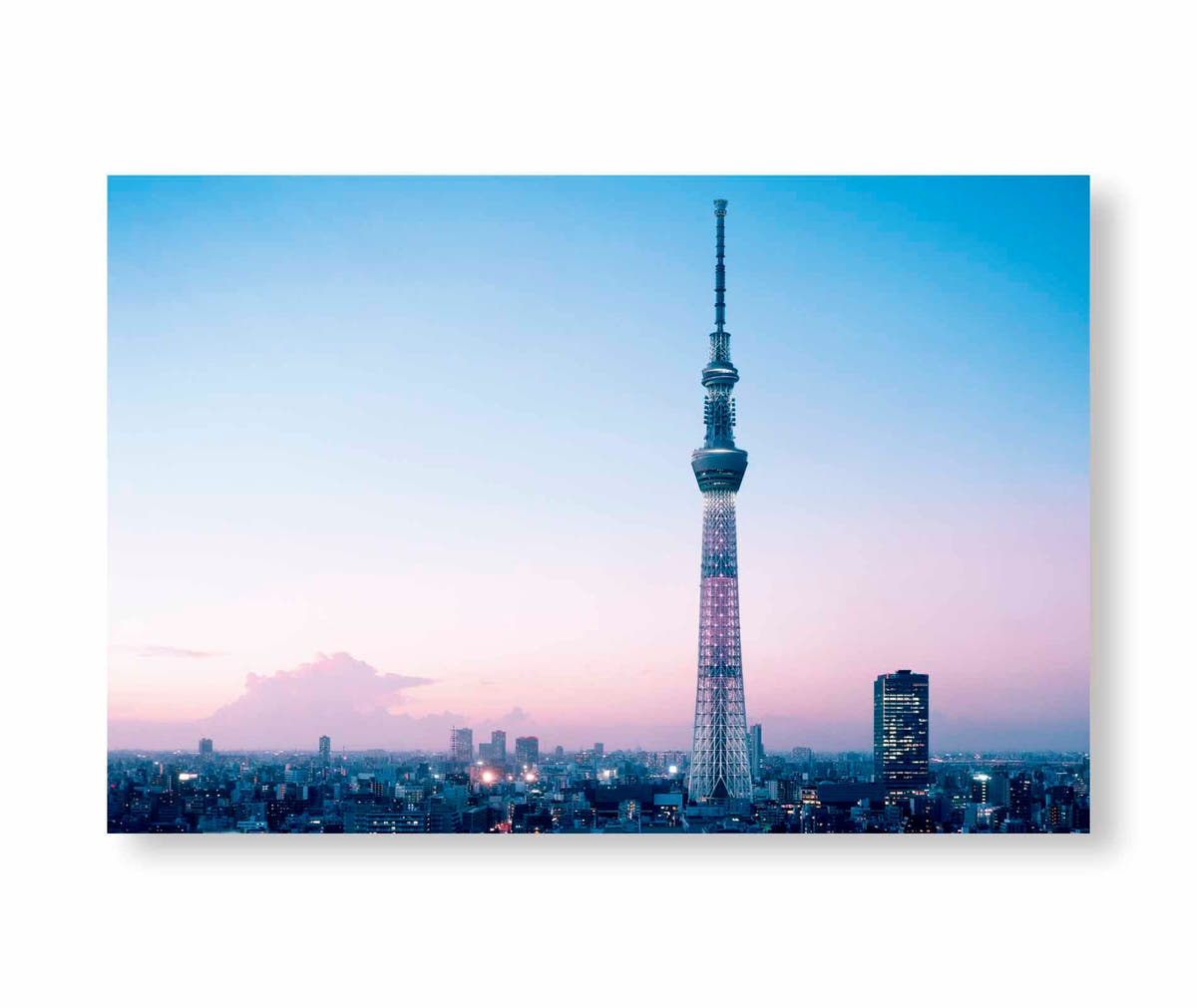 TOKYO OLYMPIA / Takashi Homma