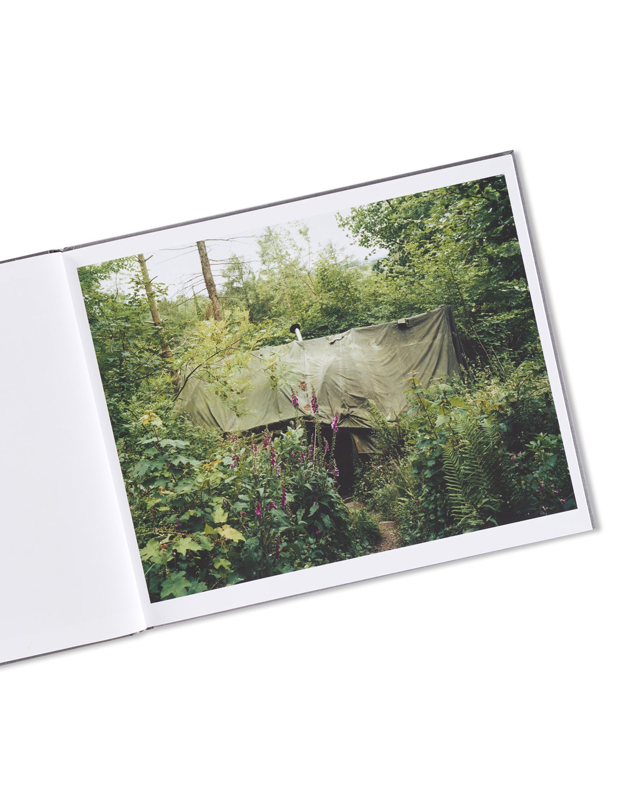 SETTLEMENTS / David Spero - 本屋青旗 Ao-Hata Bookstore