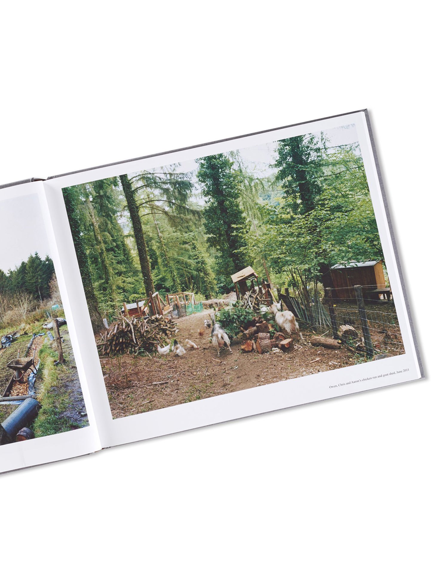 SETTLEMENTS / David Spero