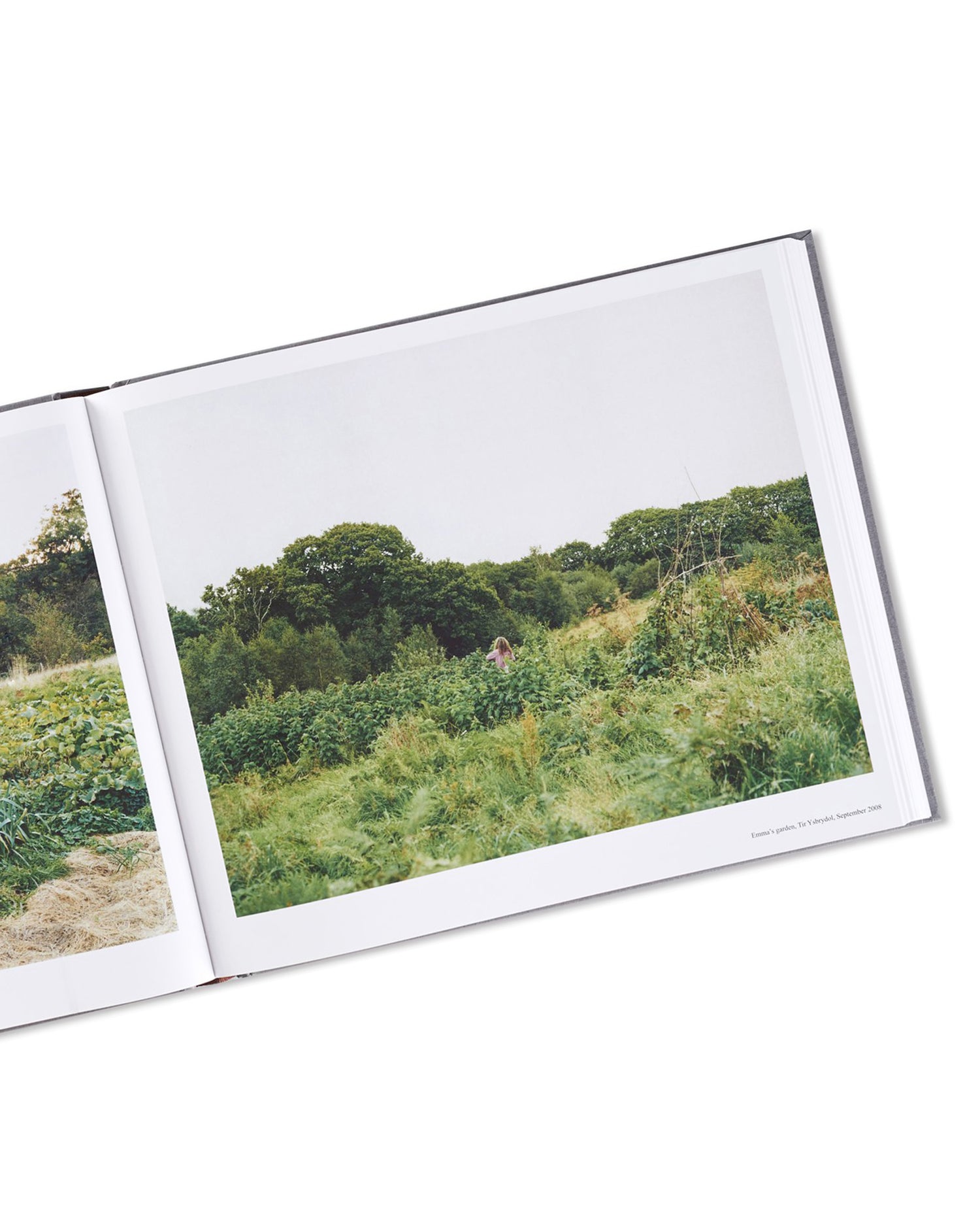 SETTLEMENTS / David Spero