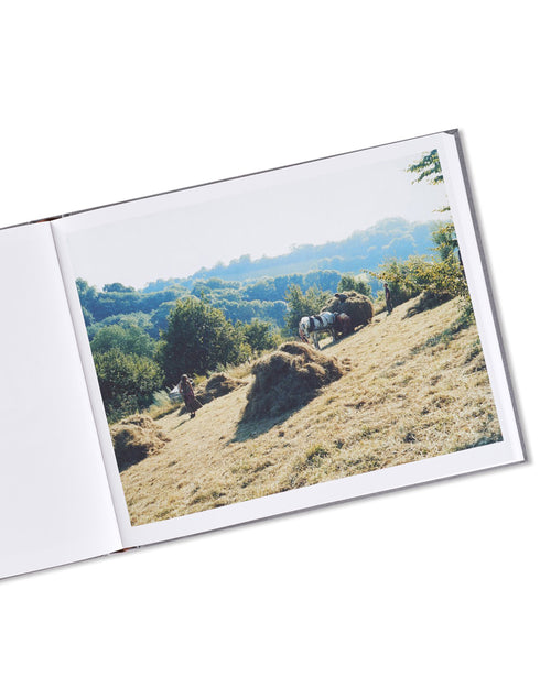 SETTLEMENTS / David Spero