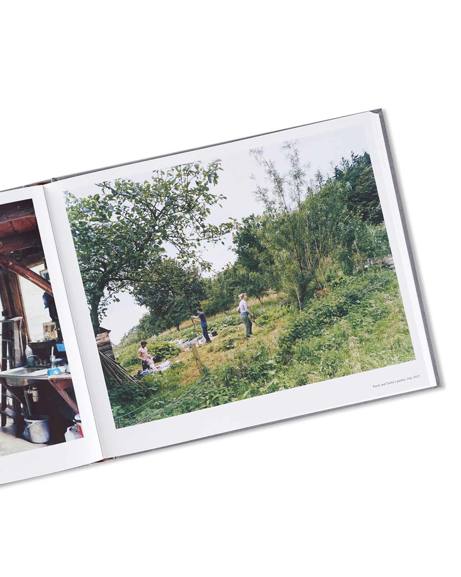 SETTLEMENTS / David Spero