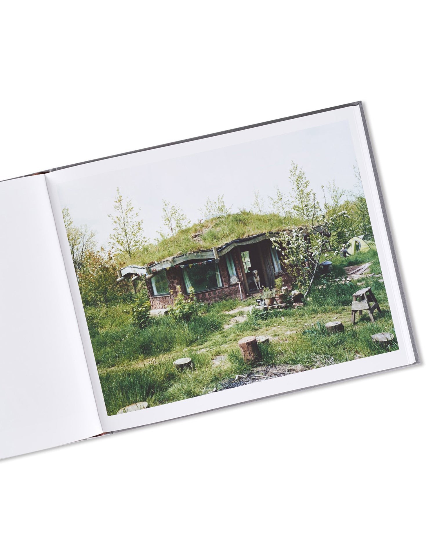 SETTLEMENTS / David Spero