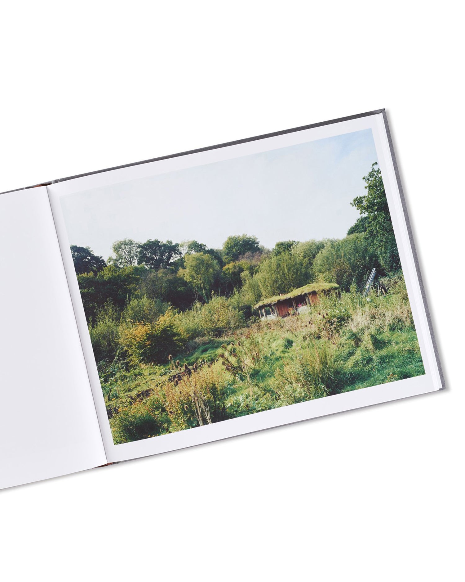 SETTLEMENTS / David Spero