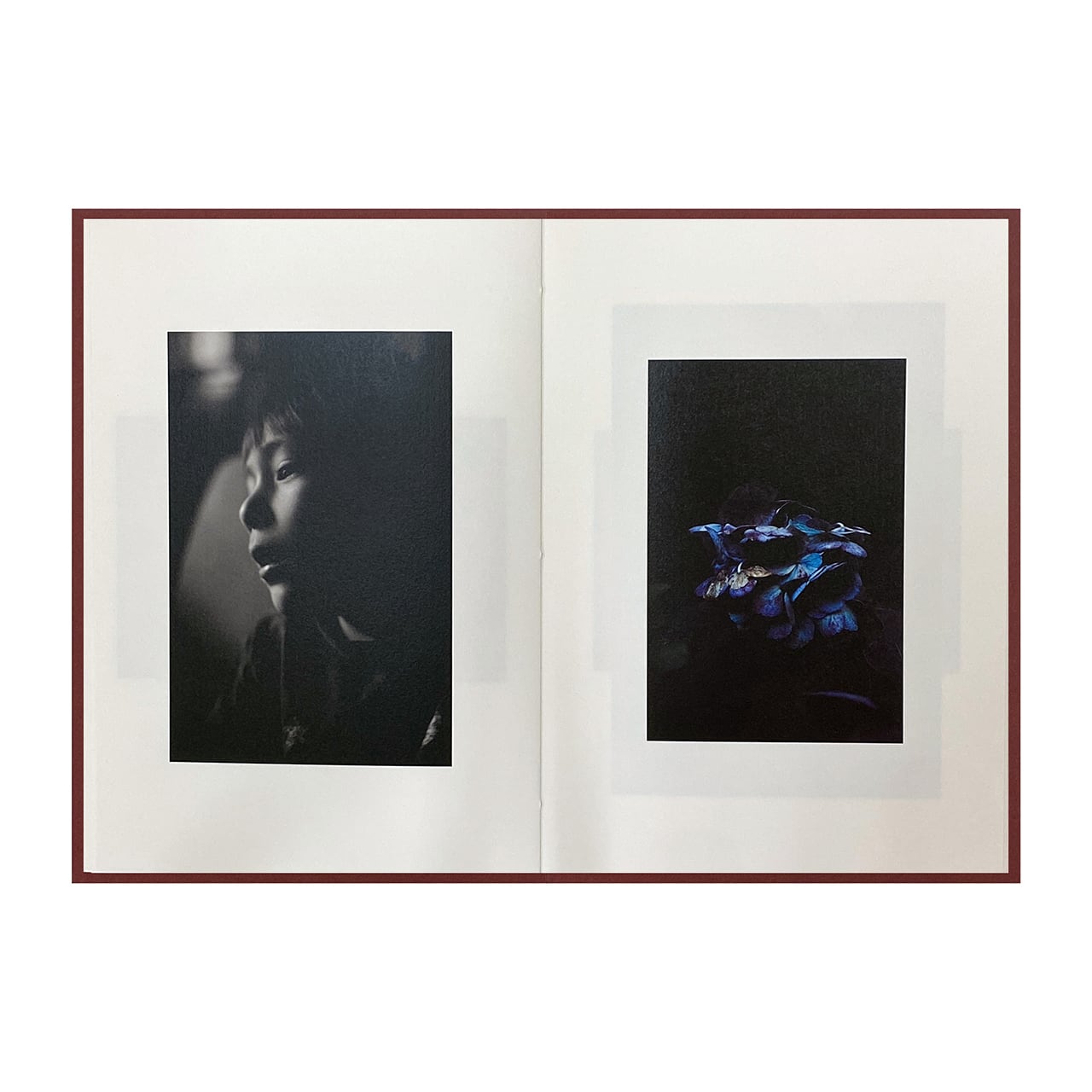 Epiphany / Shimpei Yamagami [SIGNED]