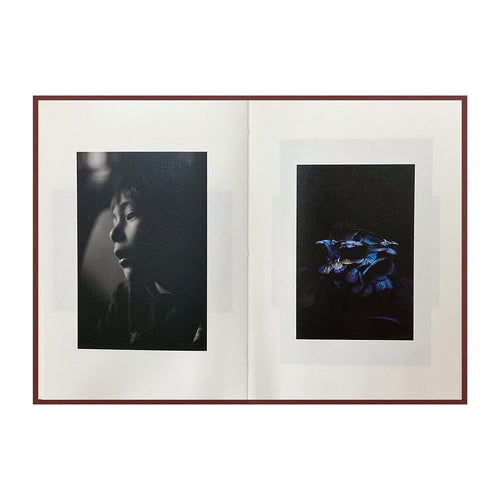 Epiphany / Shimpei Yamagami [SIGNED]