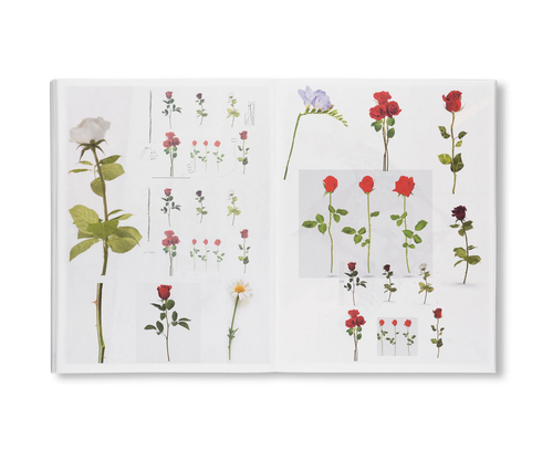 DEAREST / Magali Reus