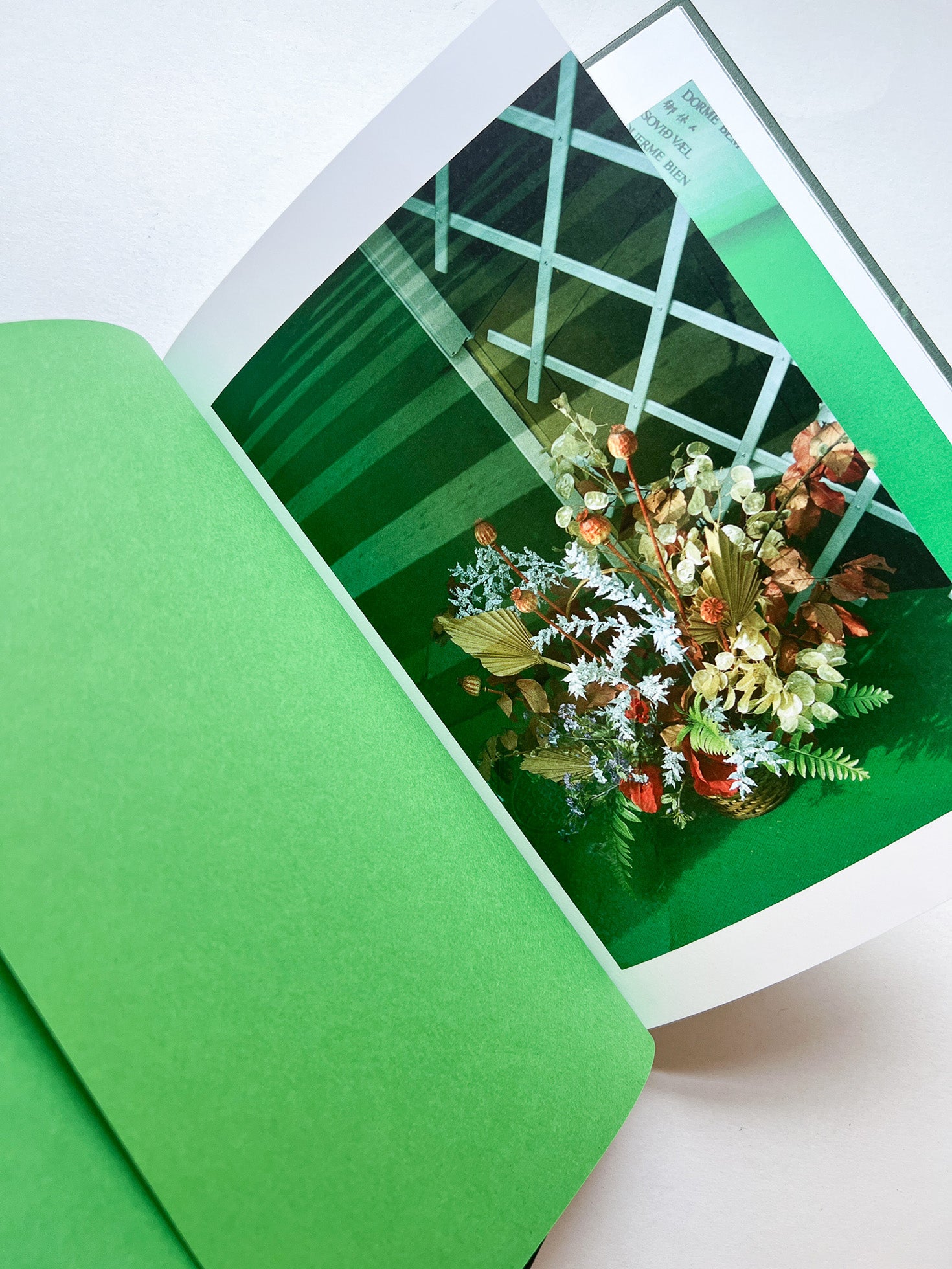 FOLIO /  Viviane Sassen