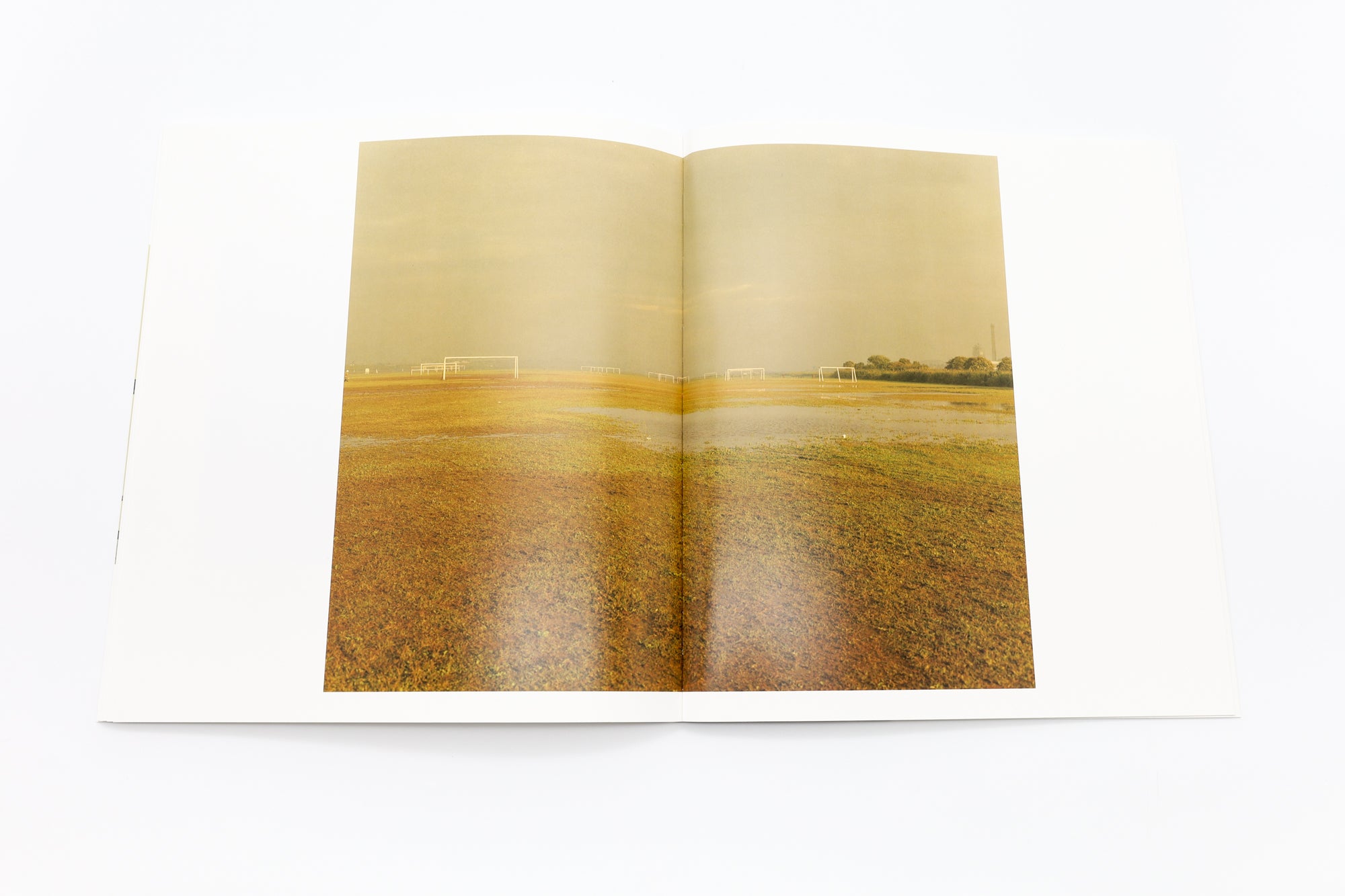 Pre-order] 復刊 生きている / 佐内正史 [SIGNED] - 本屋青旗 Ao-Hata