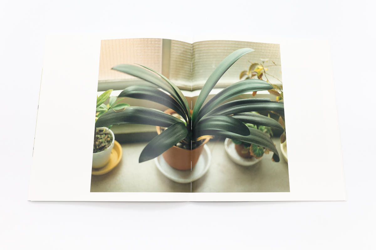 [Pre-order] 復刊 生きている / 佐内正史 [SIGNED]