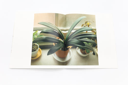[Pre-order] 復刊 生きている / 佐内正史 [SIGNED]