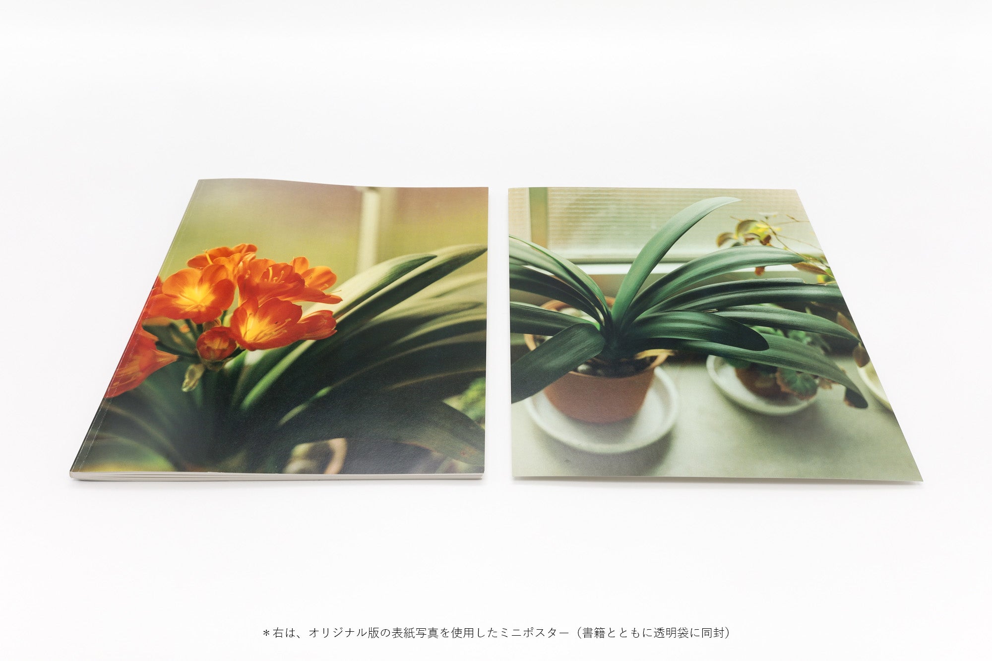 Pre-order] 復刊 生きている / 佐内正史 [SIGNED] - 本屋青旗 Ao-Hata