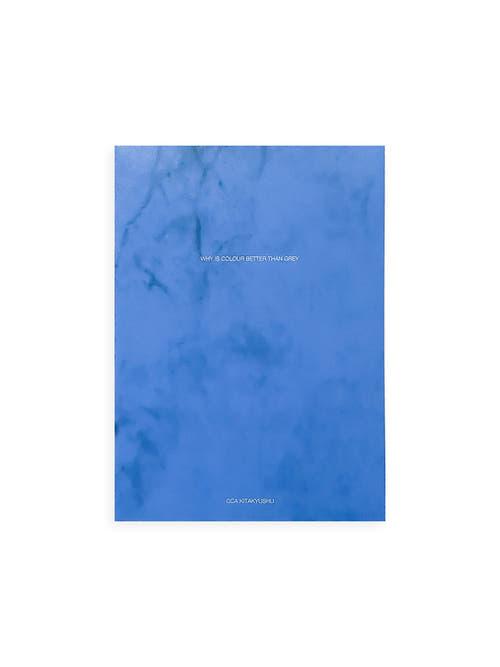 WHY IS COLOUR BETTER THAN GREY / Anri Sala