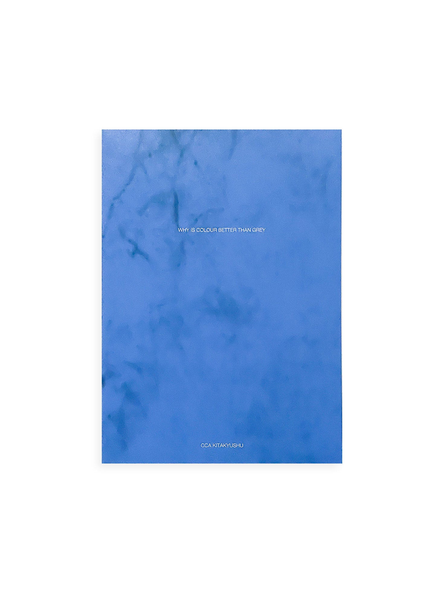 WHY IS COLOUR BETTER THAN GREY / Anri Sala