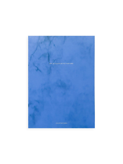 WHY IS COLOUR BETTER THAN GREY / Anri Sala