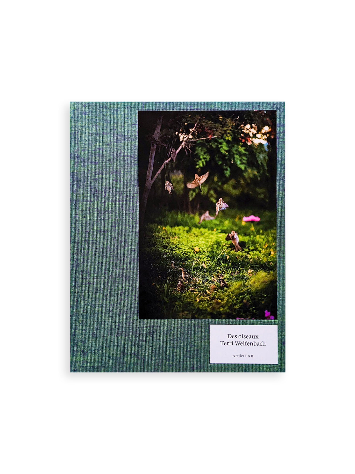DES OISEAUX / TERRI WEIFENBACH - 本屋青旗 Ao-Hata Bookstore