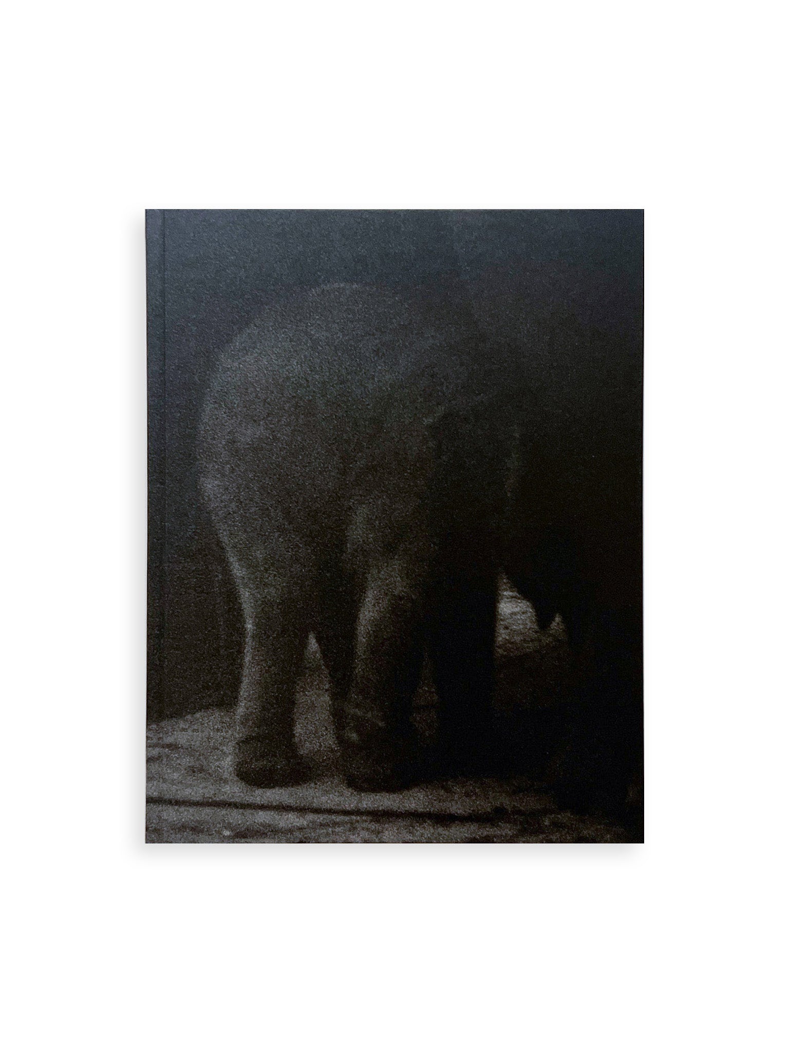 Entendue_fb883a4a-96f9-4155-