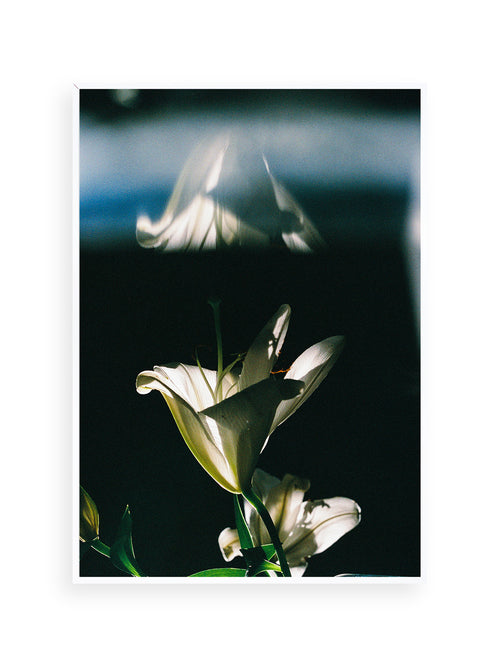 ー・・ Print A [SIGNED / FRAMED]