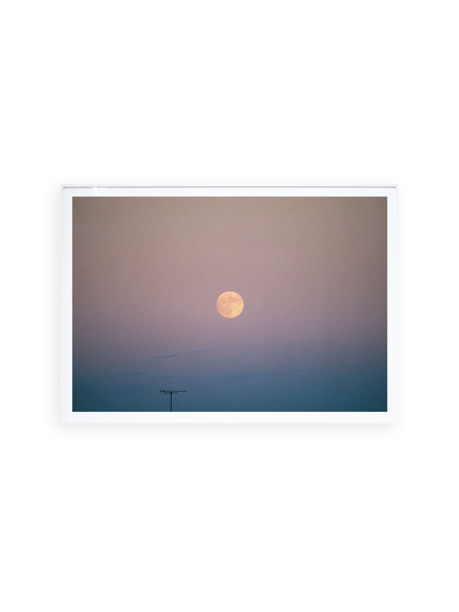 ー・・ Print D [SIGNED / FRAMED]