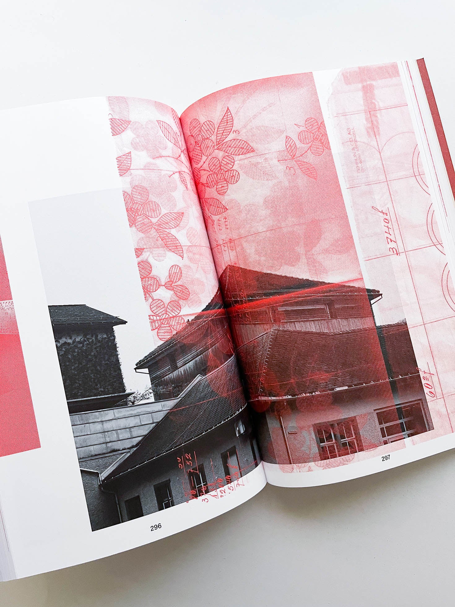 Forget Me Not / Stéphanie Baechler