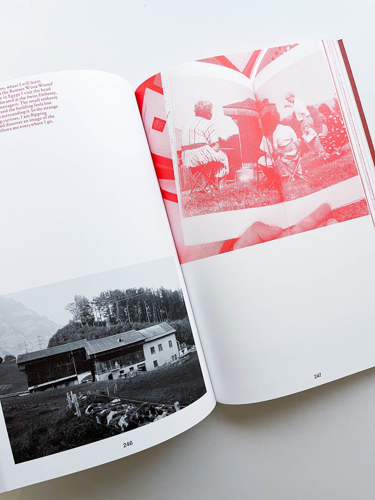 Forget Me Not / Stéphanie Baechler