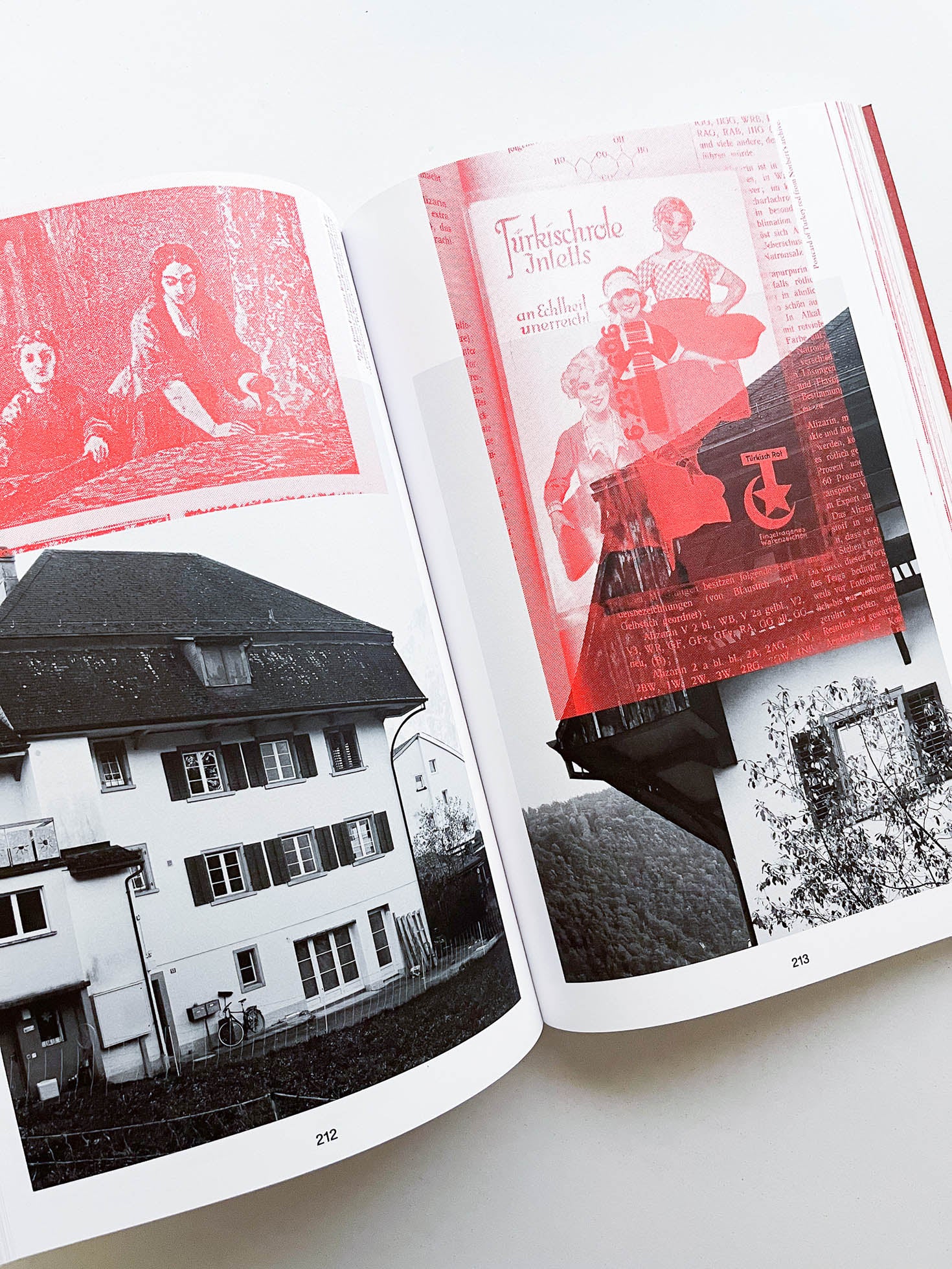 Forget Me Not / Stéphanie Baechler