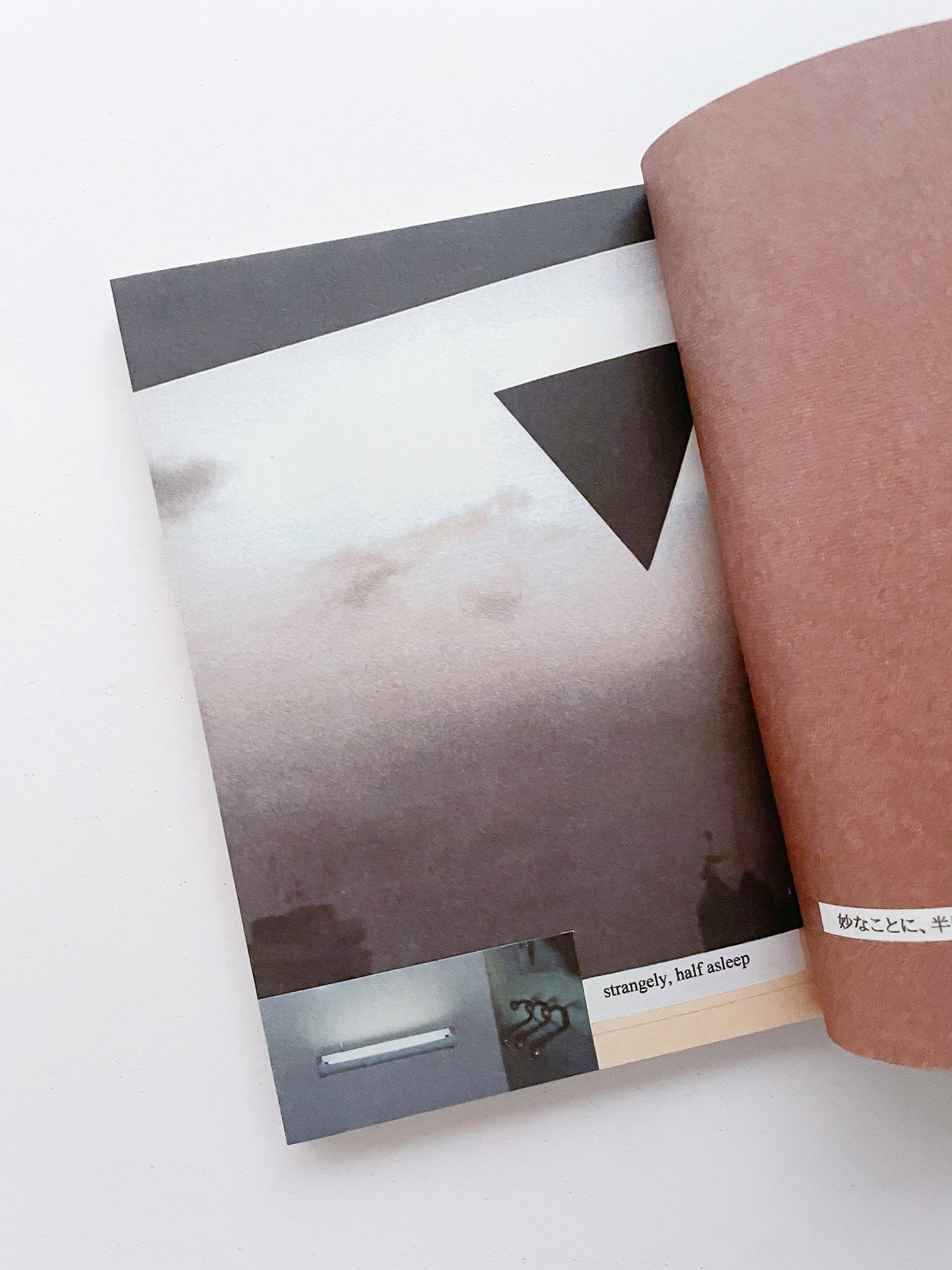 RACIAL MAKEUP / Julião Sarmento [SIGNED]