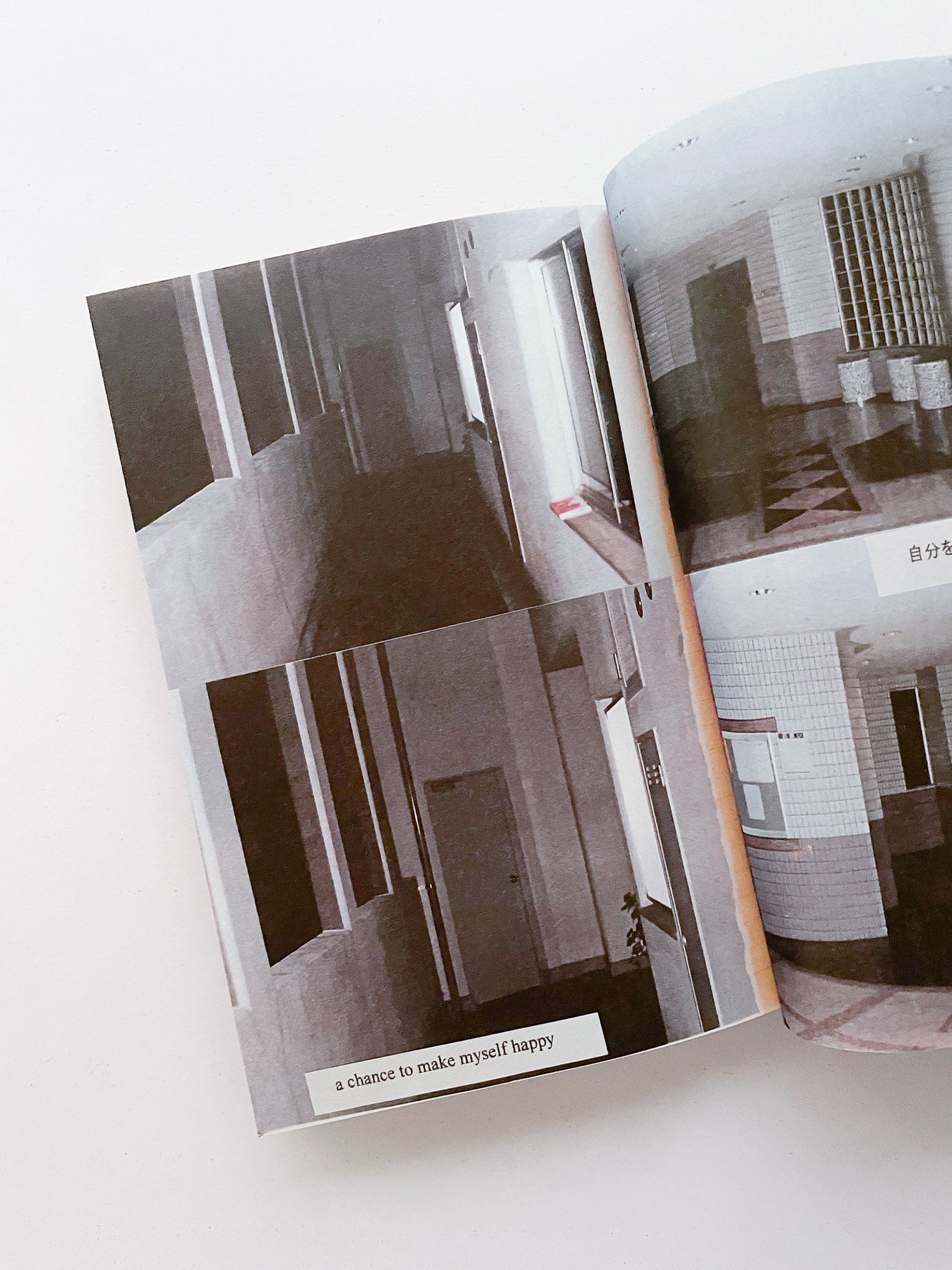 RACIAL MAKEUP / Julião Sarmento [SIGNED]