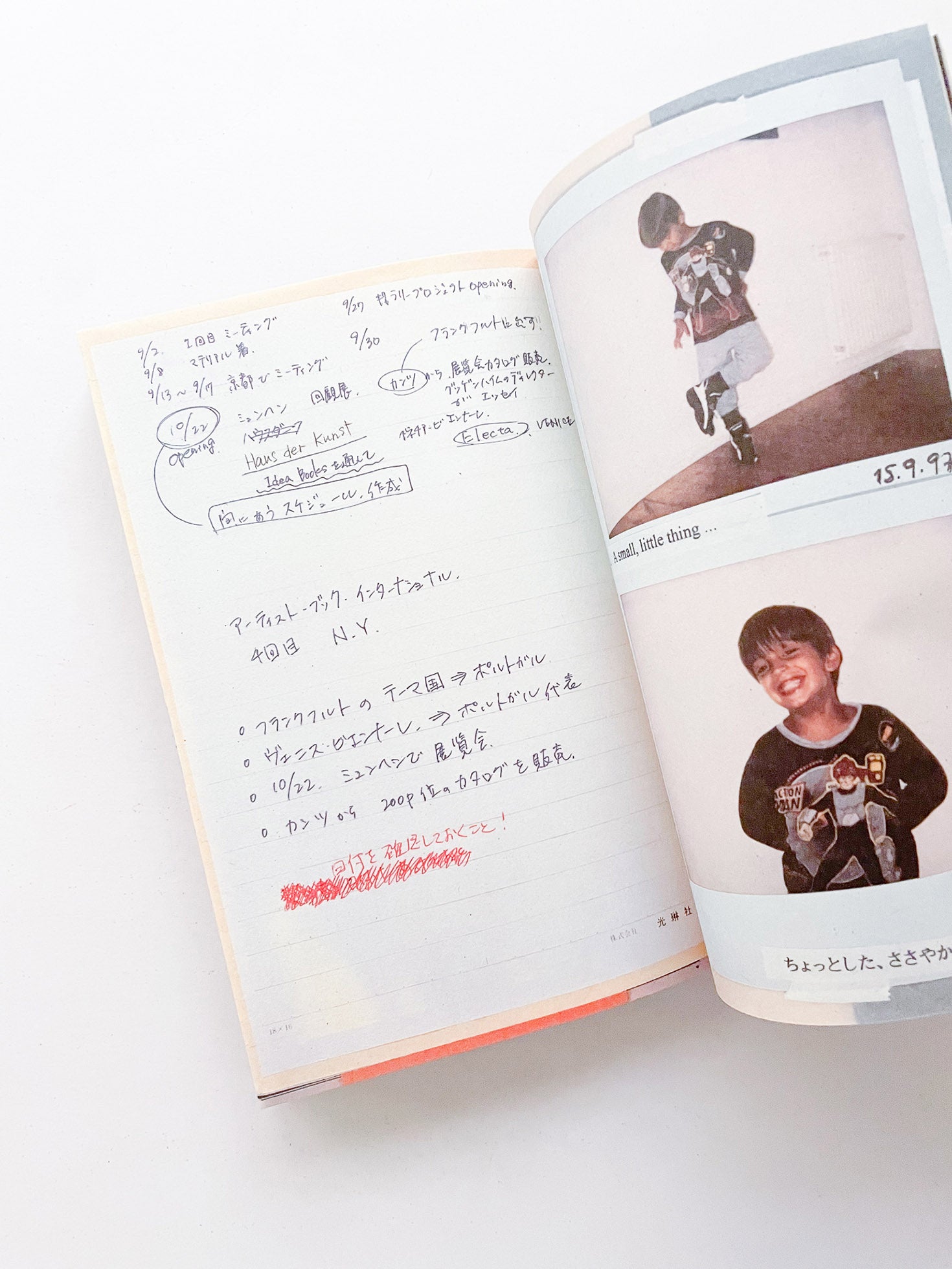 RACIAL MAKEUP / Julião Sarmento [SIGNED]