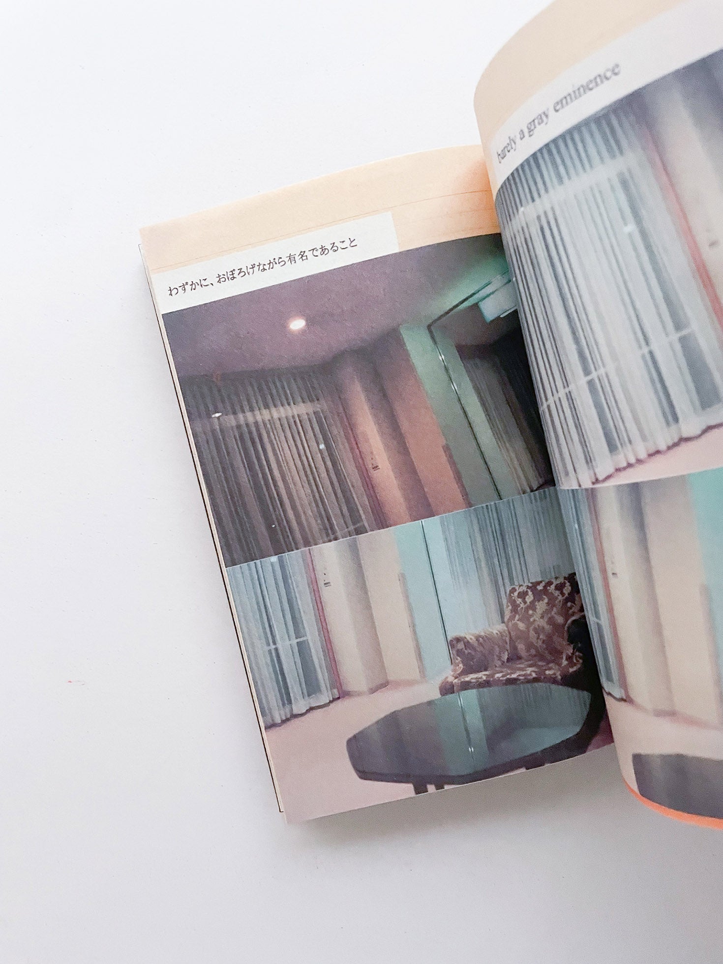 RACIAL MAKEUP / Julião Sarmento [SIGNED]