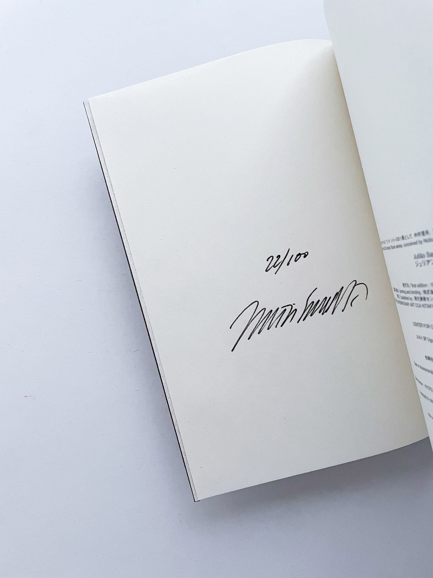 RACIAL MAKEUP / Julião Sarmento [SIGNED]