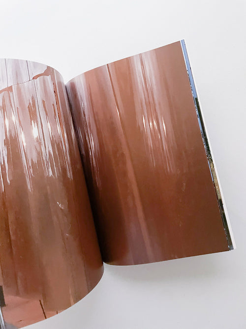 THE BOY FROM MARS / Philippe Parreno