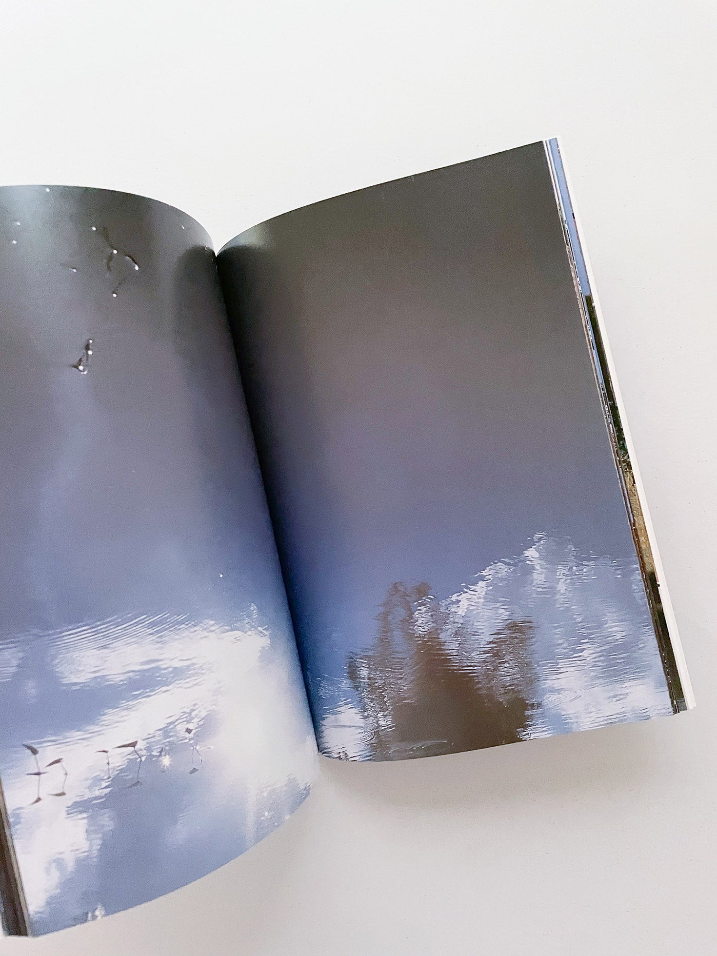 THE BOY FROM MARS / Philippe Parreno