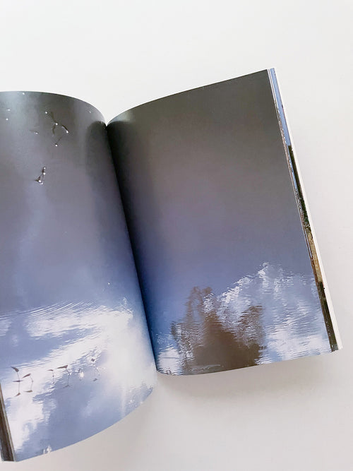 THE BOY FROM MARS / Philippe Parreno