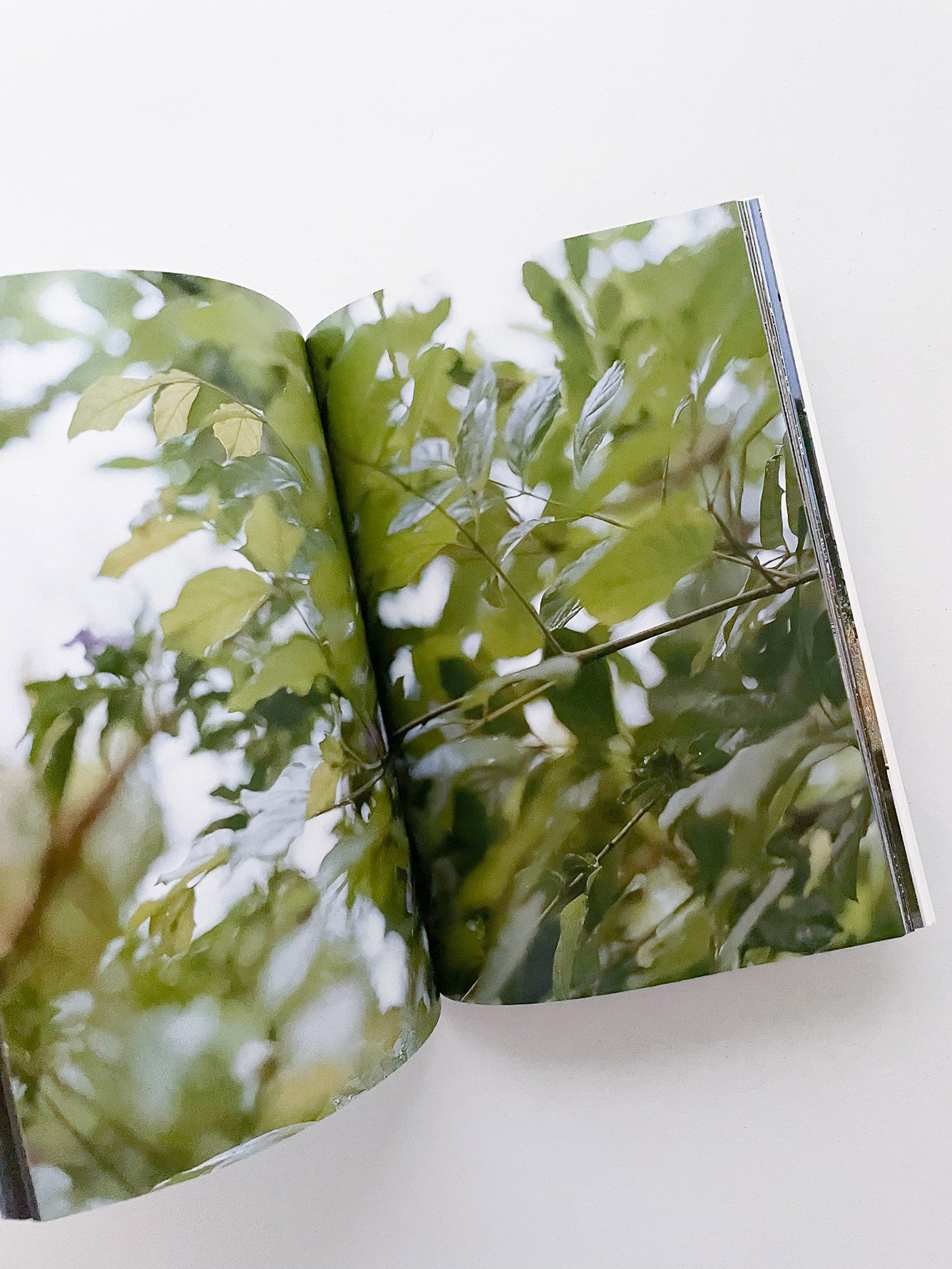 THE BOY FROM MARS / Philippe Parreno