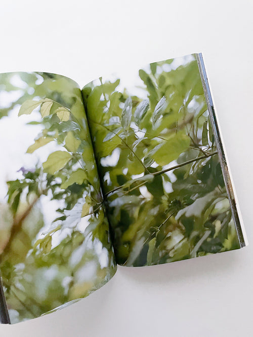 THE BOY FROM MARS / Philippe Parreno