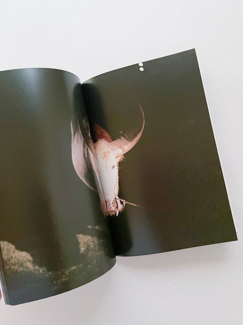 THE BOY FROM MARS / Philippe Parreno