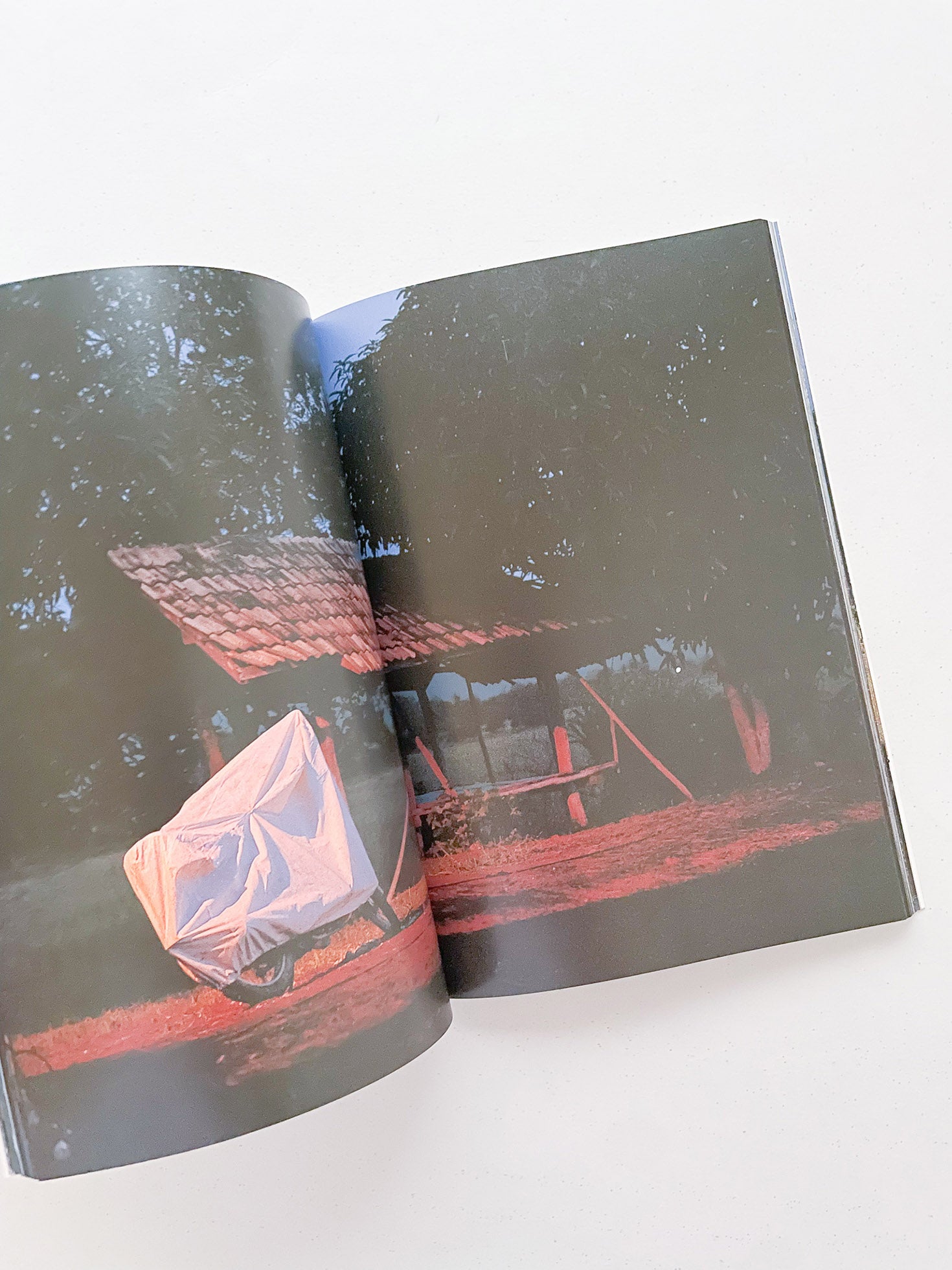 THE BOY FROM MARS / Philippe Parreno