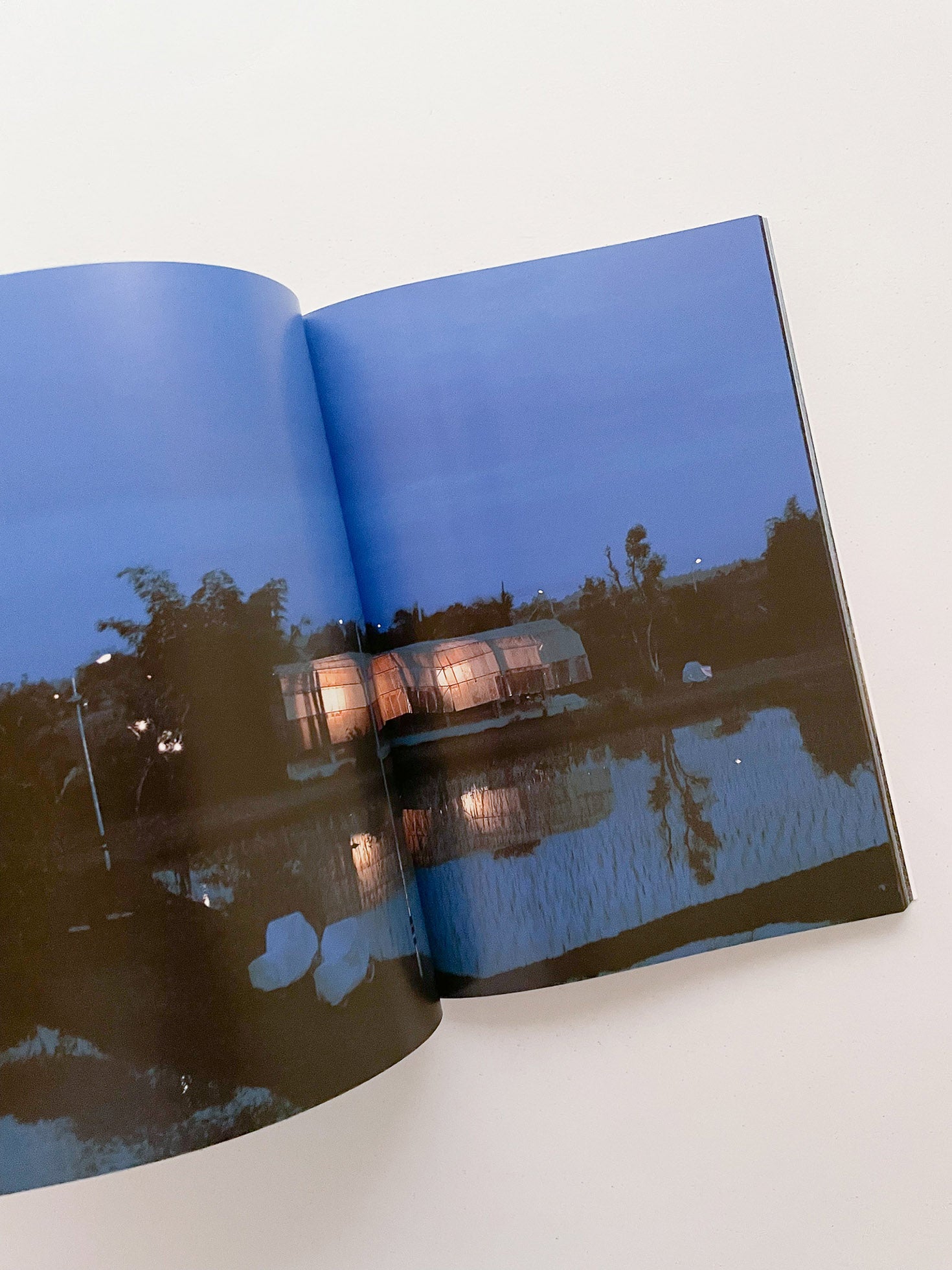 THE BOY FROM MARS / Philippe Parreno