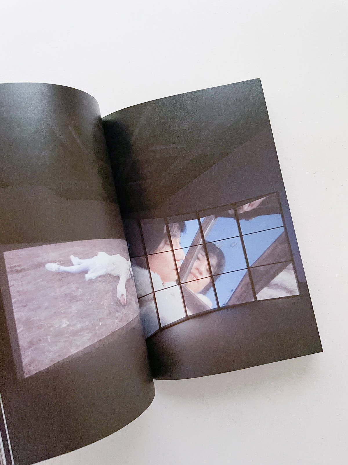 Double Lunar Rabbit / Joan Jonas
