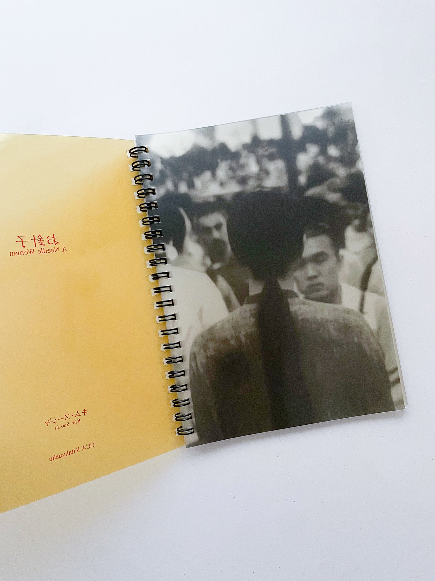 A Needle Woman / Kim Soo Ja